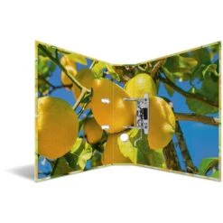 Herma Ordner 7114 Früchte, Karton, A4, 7cm, Motiv Zitrone -Geschäft Für Bürobedarf 3f019afedb89b8cc60a6a79cb09343f81decb48d ordner herma 7114 fruechte karton a4