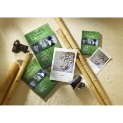 Hahnemühle Inkjet-Papier Bamboo FineArt, A4, 290 G/m², Matt, Einseitig Bedruckbar, 25 Blatt -Geschäft Für Bürobedarf 48d681678dfabcd3b680dcdaa58e1a4aa9e9f334 inkjet papier hahnemuehle bamboo fineart a4