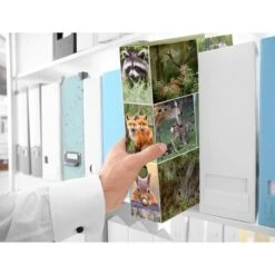 Herma Ordner 7202 Animals, Karton, A4, 7cm, Motiv Waldtiere 9 Herma Ordner 7202 Animals, Karton, A4, 7cm, Motiv Waldtiere -Geschäft Für Bürobedarf 7119246b0eabb300290199128db2d72b623c44b7 ordner herma 7202 animals karton a4