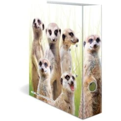 Herma Ordner 19955 Exotische Tiere, Karton, A4, 7cm, Motiv Erdmännchentruppe 10 Herma Ordner 19955 Exotische Tiere, Karton, A4, 7cm, Motiv Erdmännchentruppe -Geschäft Für Bürobedarf 8b5b9c7095b53cdee72caf06c711c9e9776b1f35 ordner herma 19955 exotische tiere karton a4