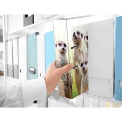 Herma Ordner 19955 Exotische Tiere, Karton, A4, 7cm, Motiv Erdmännchentruppe 9 Herma Ordner 19955 Exotische Tiere, Karton, A4, 7cm, Motiv Erdmännchentruppe -Geschäft Für Bürobedarf 91bbb91ca1d041674298e812bdb4e1e349729dc7 ordner herma 19955 exotische tiere karton a4